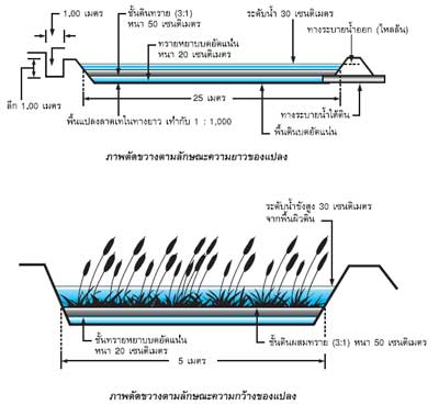 ลักษณะสังเขปรูปแบบเทคโนโลยีการบำบัดน้ำเสียด้วยพื้นที่ชุ่มน้ำเทียม